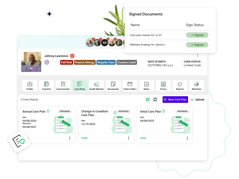 Daily care visibility and care plans interface