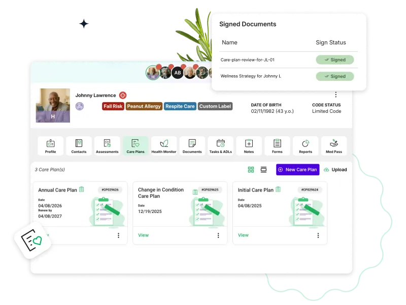 Daily care visibility and care plans interface